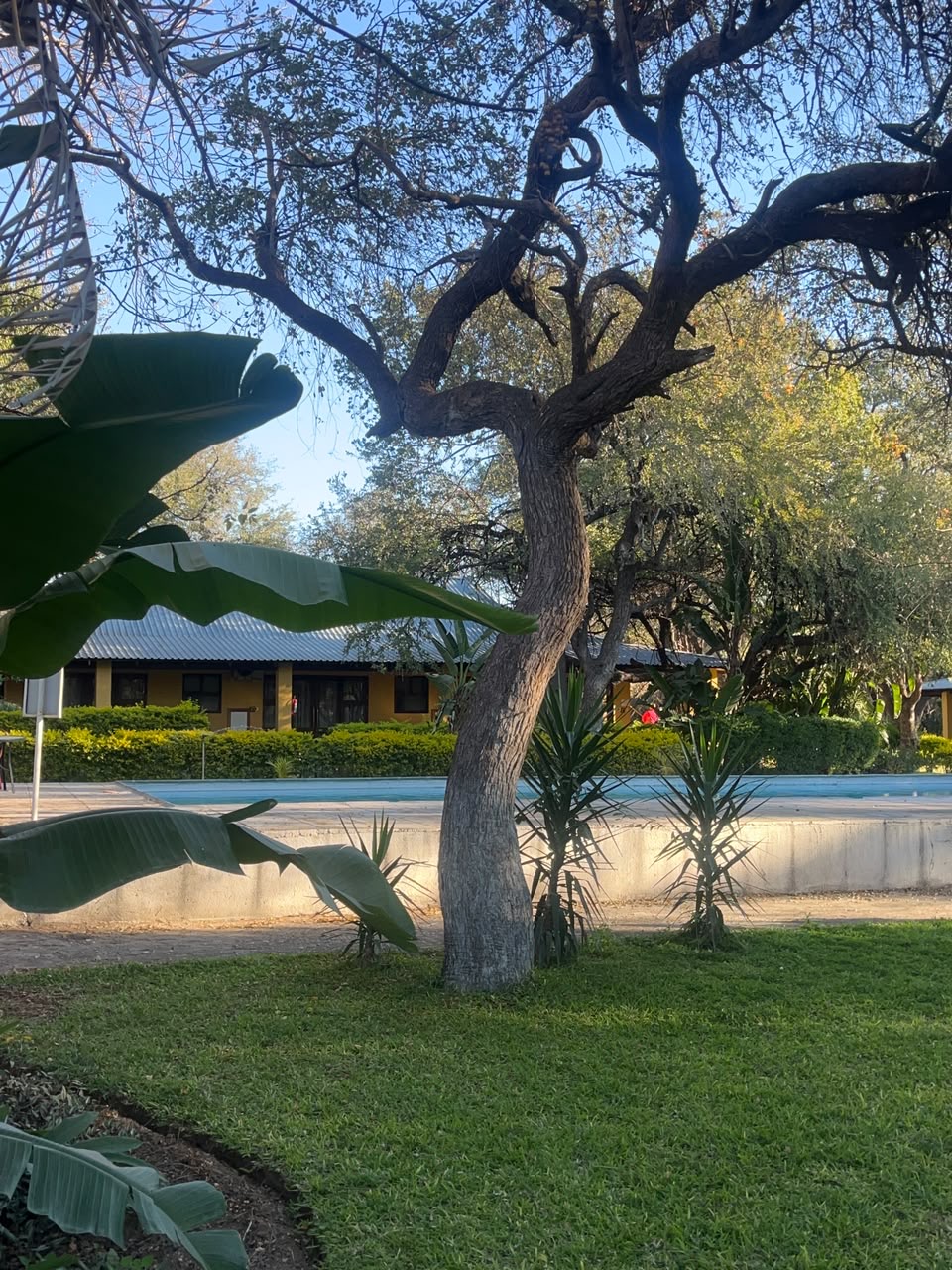 Hotel Beulah 62